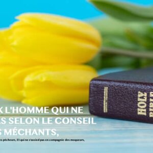 HEUREUX L’HOMME QUI NE MARCHE PAS SELON LE CONSEIL DES MÉCHANTS HEUREUX L’HOMME QUI NE MARCHE PAS SELON LE CONSEIL DES MÉCHANTS